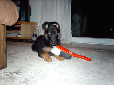 Kuck mal was ich geklaut habe