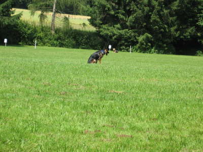 Teamtest_Aichtal 076