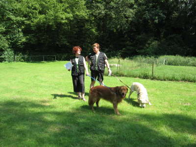 Teamtest_Aichtal 100